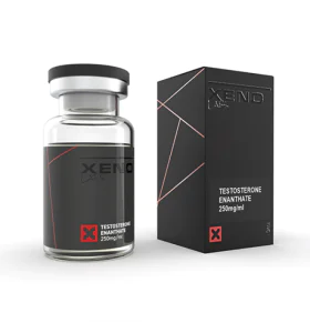3 Test/E 250 mg 10 ml Xeno US - Image 1